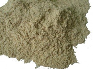 African Dream Root (Silene capensis)